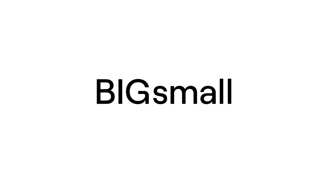 Big Small Design logo